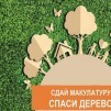 Бумажный БУМ: сдай макулатуру – спаси дерево